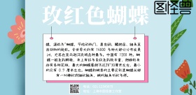 简约玫红色蝴蝶宣传横版海报