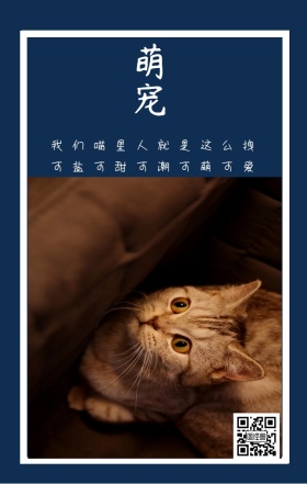 萌宠 我们喵星人就是这么拽 可盐可甜可潮可萌可爱 卡通宠物猫之日可爱手机海报