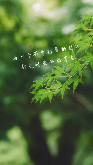 每一个不曾起舞的日子 都是对生命的辜负 文艺手机壁纸