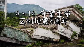 玉树地震八周年守望生命公众号封面