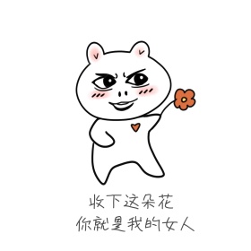 收下这朵花你就是我的女人表情包