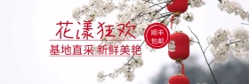 新鲜花卉粉丝狂欢节banner图片