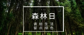 森林日 3.21 请给生活 留点绿色 世界森林日简约公众号封面