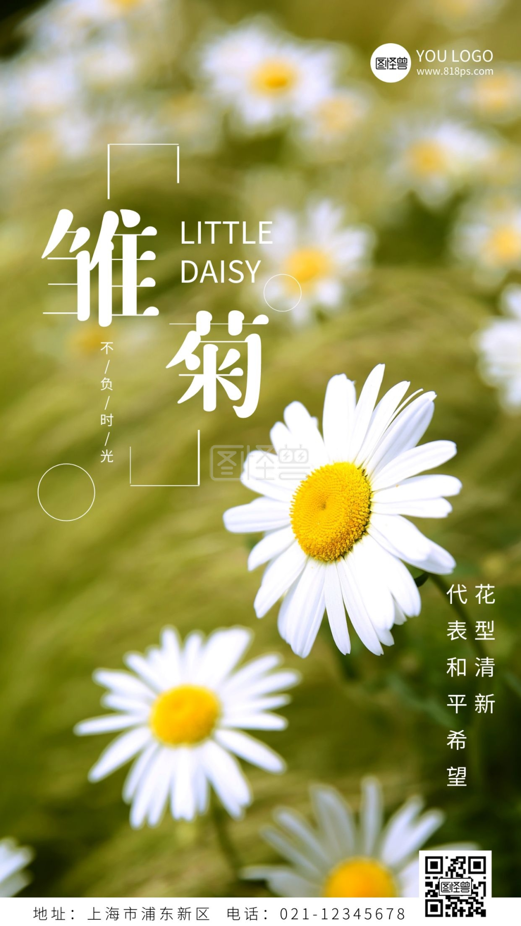 摄影图海报小雏菊春季赏花手机海报