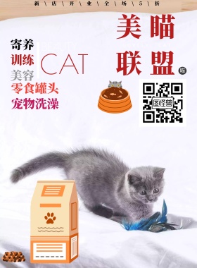 宠物店促销猫咪创意大气可爱海报
