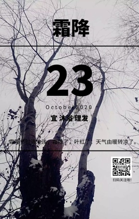 霜降季节节气电线白色文艺简约日签