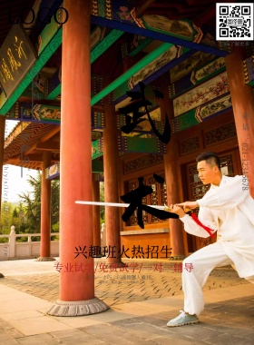 武术培训海报