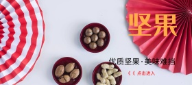 坚果零食年货移动淘宝banner