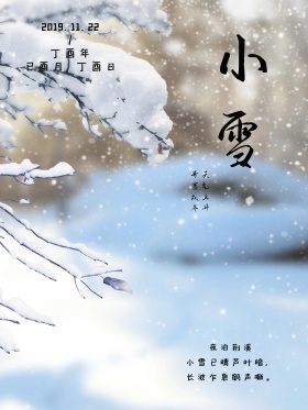 二十四节气之小雪节日海报设计