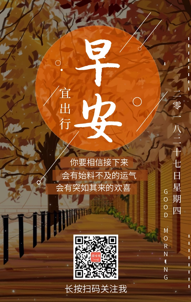 枫树