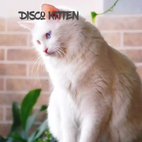 闪电猫手机微博封面