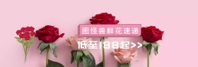 七夕马士革玫瑰花束促销淘宝banner