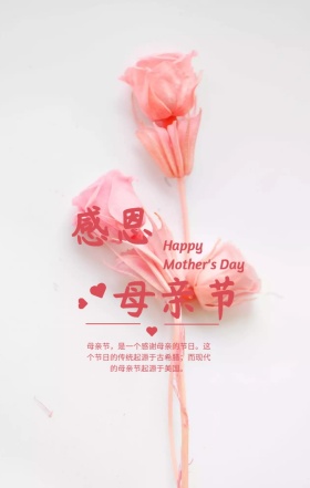 感恩母亲节节日祝福粉色浪漫手机海报
