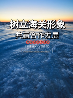 简约国际海关日主题宣传海报展板