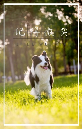 熊猫蓝色壁纸可爱记得微笑汉字