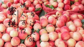 可口蜜桃宣传创意简约公众号封面模版