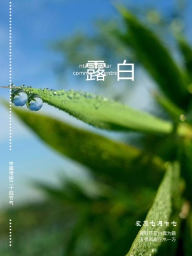中国传统二十四节气白露海报