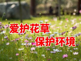 温馨提示