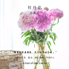 牡丹谷雨花简约白色方形配图