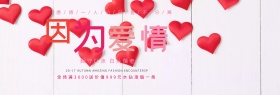 粉色简约花朵秋季淘宝banner电商海报模板