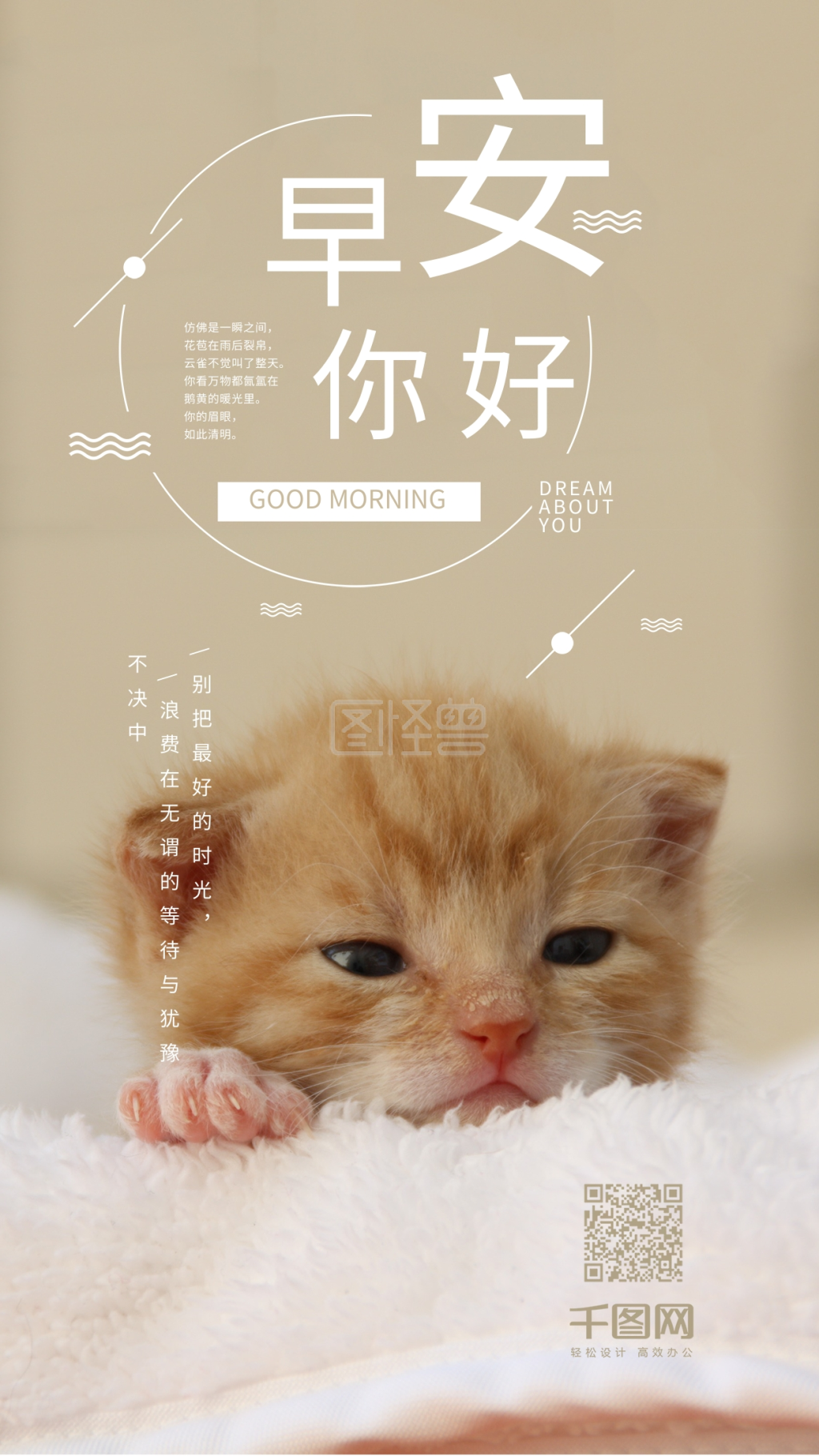 早安你好小猫简约恬静手机海报