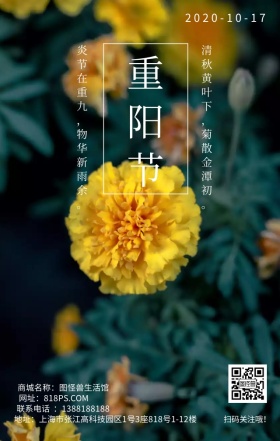 重阳节节日菊花黄色简约日签