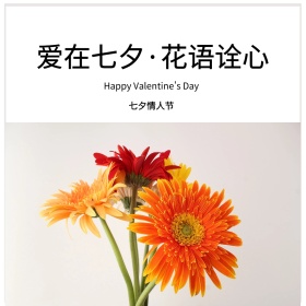 简约七夕情人节公众号配图模板