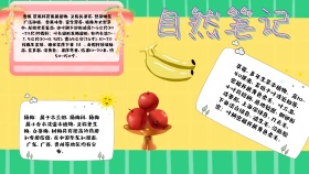 水果自然笔记手抄报