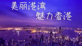 魅力香港创意简约宣传公众号封面