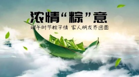 粽子红包公众号封面