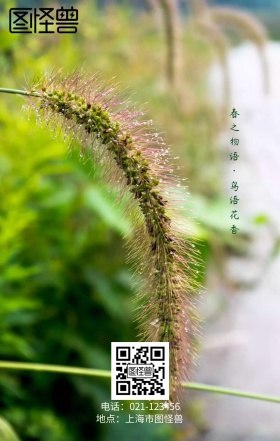 中国传统节日谷雨海报