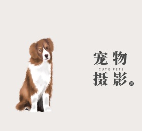 宠物摄影写真朋友圈封面