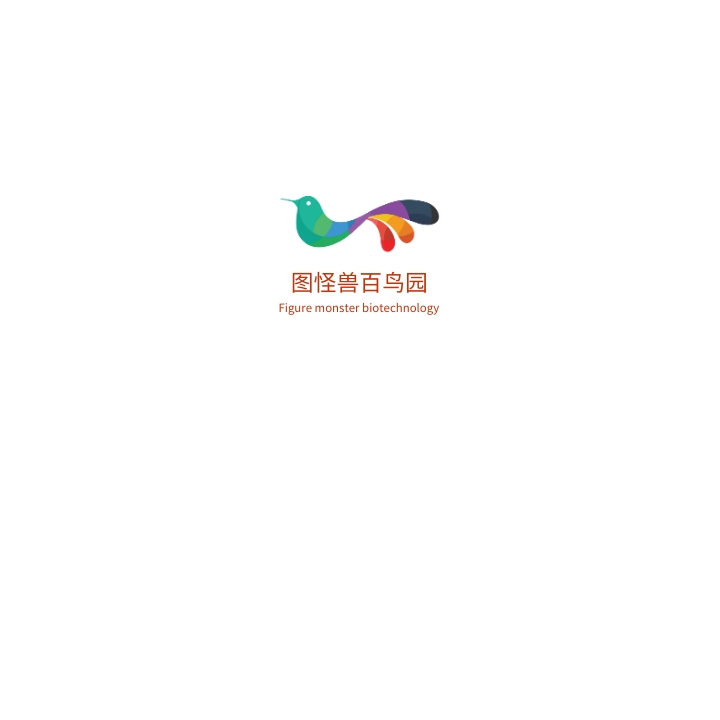 鸟类