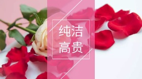 纯洁,高贵