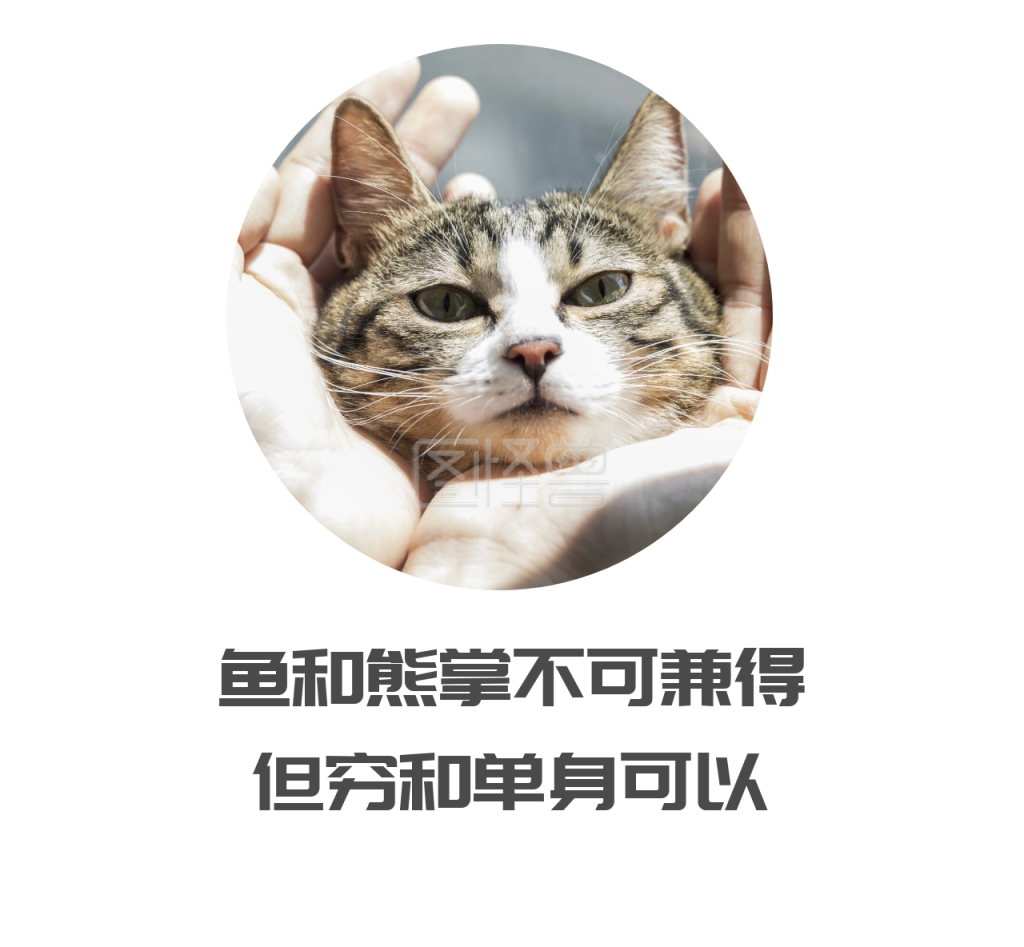 鱼和熊掌不可兼得个性朋友圈封面图