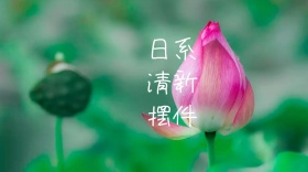 文艺摄影公众号封面日系清新摆件