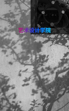服装图案设计