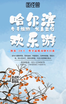 寒假去哪玩哈尔滨欢乐游手机海报