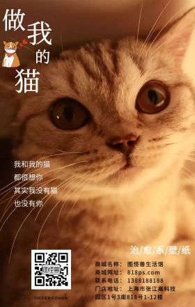 猫咪简约慵懒治愈系萌宠海报
