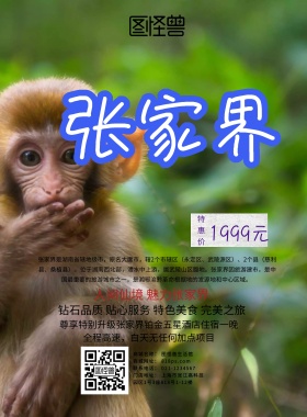 创意大气简约张家界旅游海报