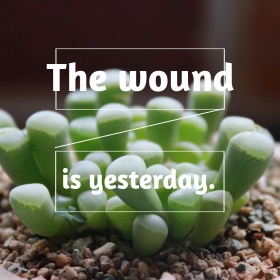 幸福盆栽简约公众号正方形配图