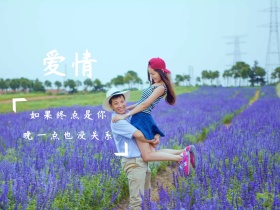 文艺句子创意简约公众号配图