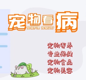 萌宠宠物可爱动物朋友圈封面