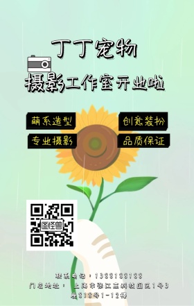 丁丁宠物摄影工作室店铺广告宣传