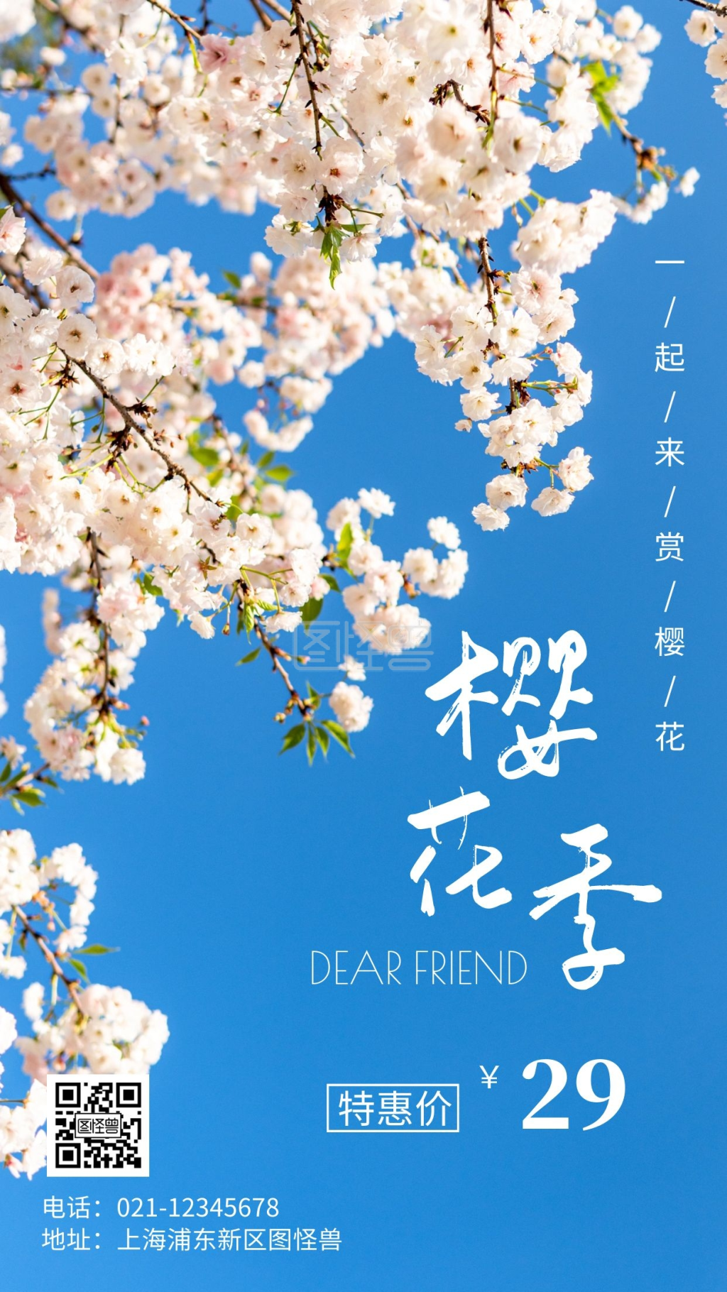 简约风樱花季赏花春日摄影图海报