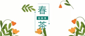 春茶 抢鲜季 春茶春季茶叶促销公众号封面