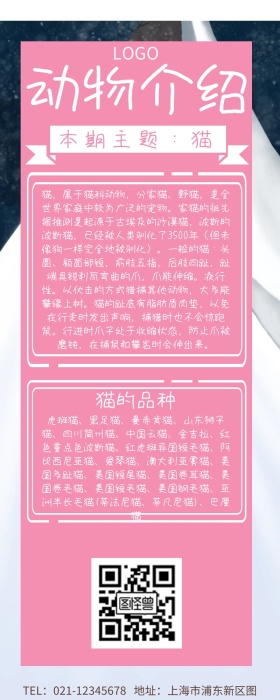 动物介绍猫咪营销长图
