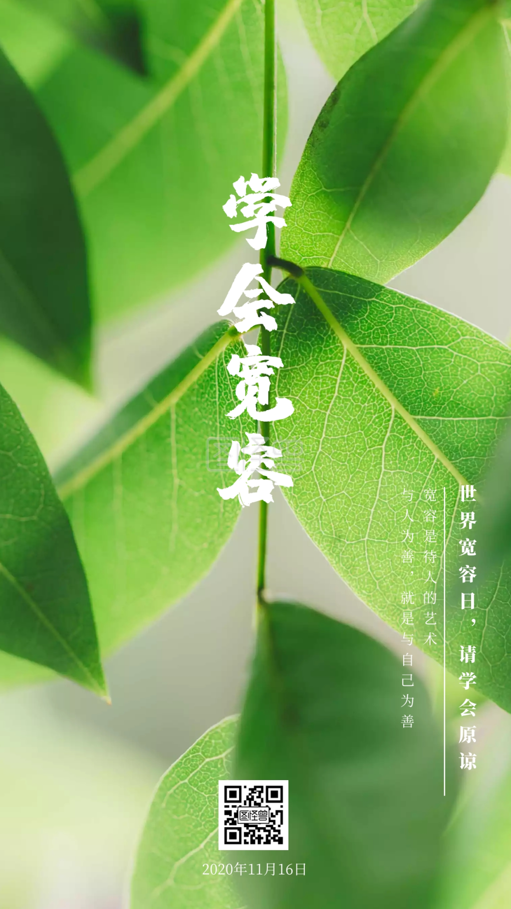 学会宽容世界宽容日请学会原谅日签