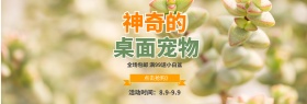 绿色小清新插画植物盆栽的桌面宠物电商海报banner