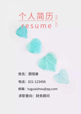 姓名：图怪兽 电话：021-123456 邮箱：tuguaishou@qq.com 求职意向：财务顾问 简历封面